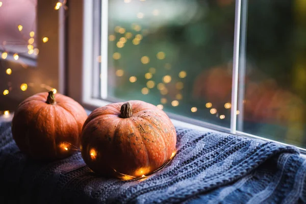 Two orange pumpkins on gray knitted plaid near window in daylight surrounded with warm garland lights with golden bokeh. — Stock Photo, Image