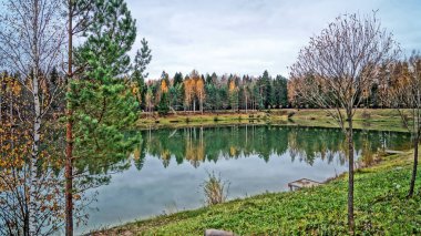 Güzel sonbahar orman göl sakin yüzeyine yansıtılır. Sarı yeşil yeşillik