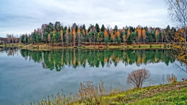 Güzel sonbahar orman göl sakin yüzeyine yansıtılır. Sarı yeşil yeşillik