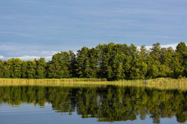 Güneş ışığında göl kıyısı