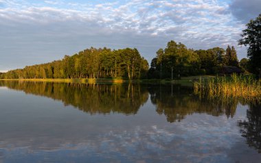 Güneş ışığında göl kıyısı