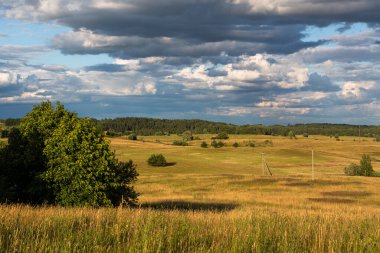 Bulutlu yaz gününde ekin tarlaları