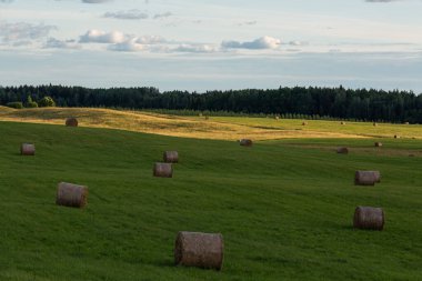 Günbatımında saman ruloları olan yeşil manzara