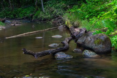 Taşlı ve kumlu küçük bir nehir.