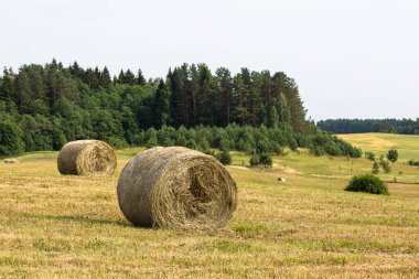 Günbatımında saman ruloları olan yeşil manzara