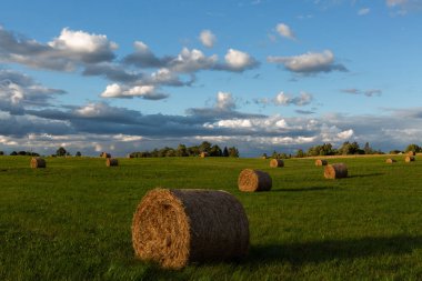 Günbatımında saman ruloları olan yeşil manzara