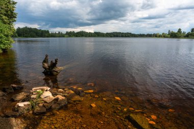 Ağaç gövdesi ile güzel sakin göl