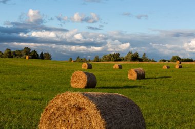 Günbatımında saman ruloları olan yeşil manzara