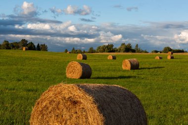 Günbatımında saman ruloları olan yeşil manzara