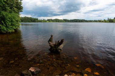 Ağaç gövdesi ile güzel sakin göl