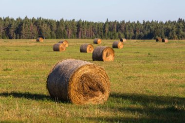 Günbatımında saman ruloları olan yeşil manzara