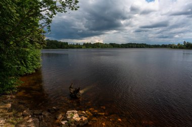 Ağaç gövdesi ile güzel sakin göl