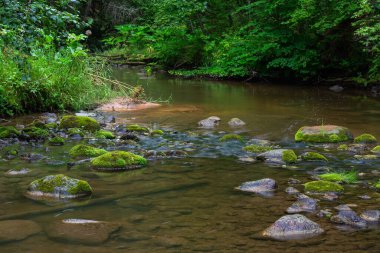 Taşlı ve kumlu küçük bir nehir.