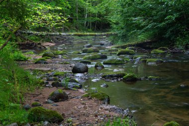 Taşlı ve kumlu küçük bir nehir.