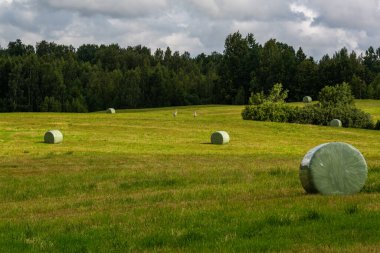 Tarlada saman ruloları, hasat