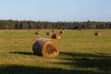 Günbatımında saman ruloları olan yeşil manzara