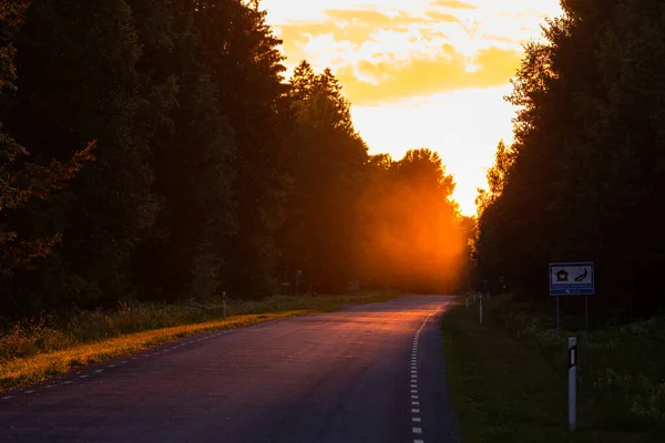 Yazın boş bir yolda güzel bir gün batımı