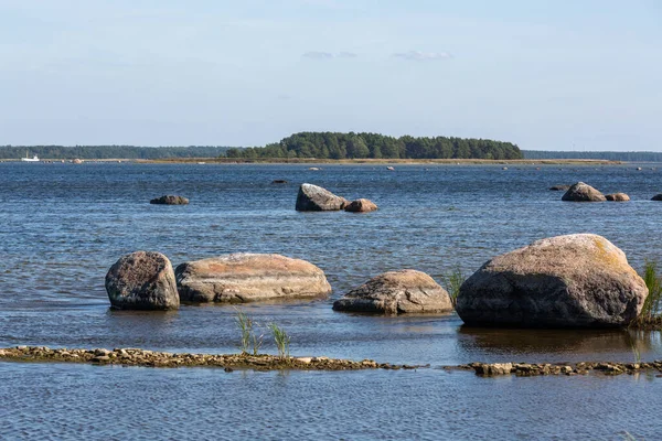 Suyun içinde kayalar olan güzel orman gölü