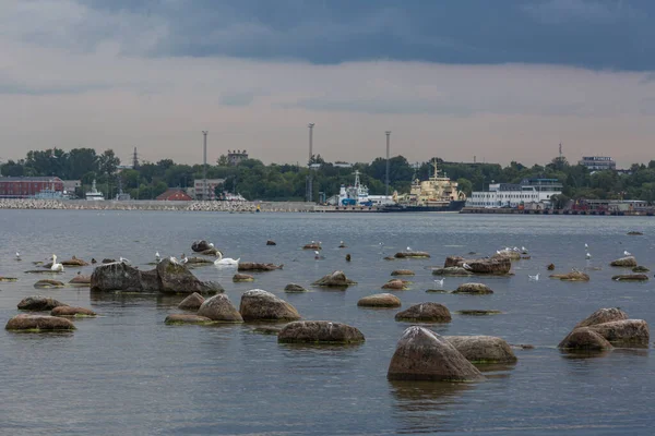 Vista Sobre Viejo Tallin Desde Bahía Stonie —  Fotos de Stock