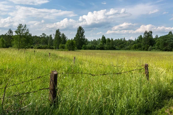 Piękny Widok Obszar Rolniczy — Zdjęcie stockowe