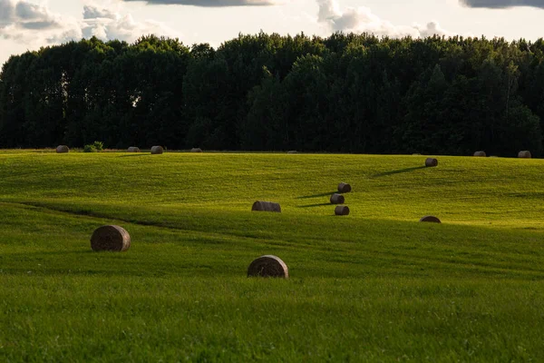 Grüne Landschaft Mit Heubrötchen Bei Sonnenuntergang — Stockfoto