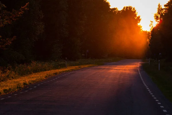 Beautiful Sunset Empty Road Summer — Stock Photo, Image