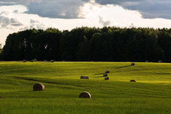 Grüne Landschaft Mit Heubrötchen Bei Sonnenuntergang — Stockfoto