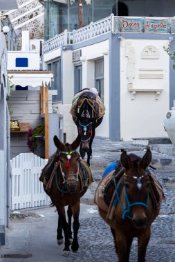 Thira ve Santorini 'deki sokaklar ve evler.