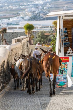 Thira şehrinde eşek sokakları, Santorini.
