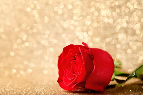 Κόκκινο Τριαντάφυλλο Χρυσή Φώτα Φόντο — Φωτογραφία Αρχείου