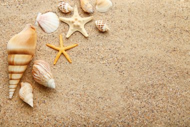 Deniz ve plaj kum üzerinde starfishes