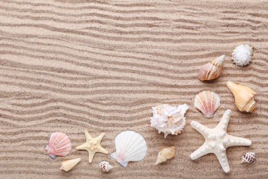 Deniz ve plaj kum üzerinde starfishes