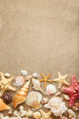 Deniz ve plaj kum üzerinde starfishes