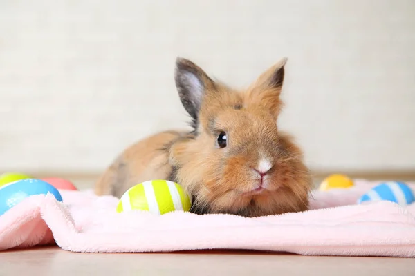 Brun Beau Lapin Avec Des Œufs Pâques Colorés — Photo