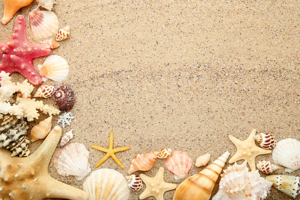 Conchiglie Stelle Marine Sulla Sabbia Della Spiaggia — Foto Stock