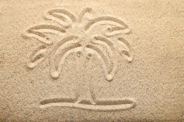 Palmeira Desenhada Areia Praia — Fotografia de Stock