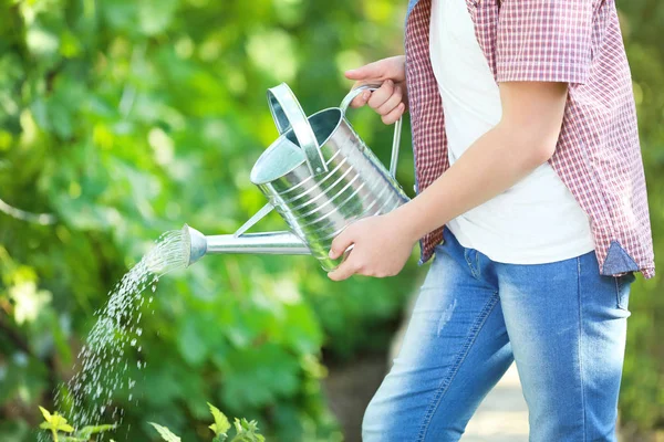 Anak Muda Menuangkan Tanaman Kebun — Stok Foto