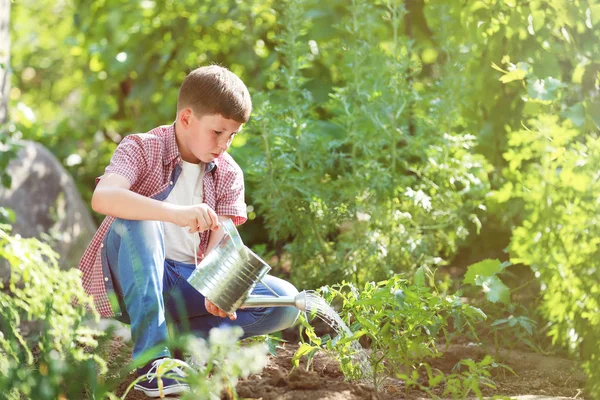 Giovane Ragazzo Versando Pianta Verde Giardino — Foto Stock