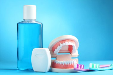 Diş fırçası ve diş macunu şişe üzerinde mavi arka plan ile diş modeli