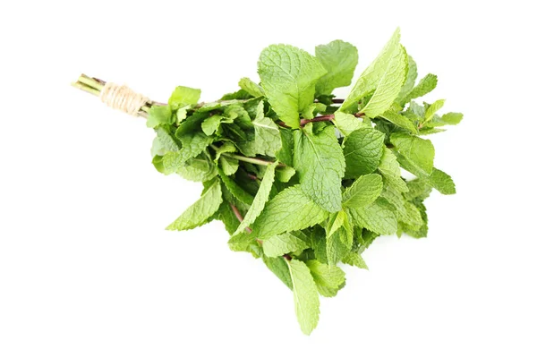 Hojas Frescas Menta Aisladas Sobre Fondo Blanco — Foto de Stock