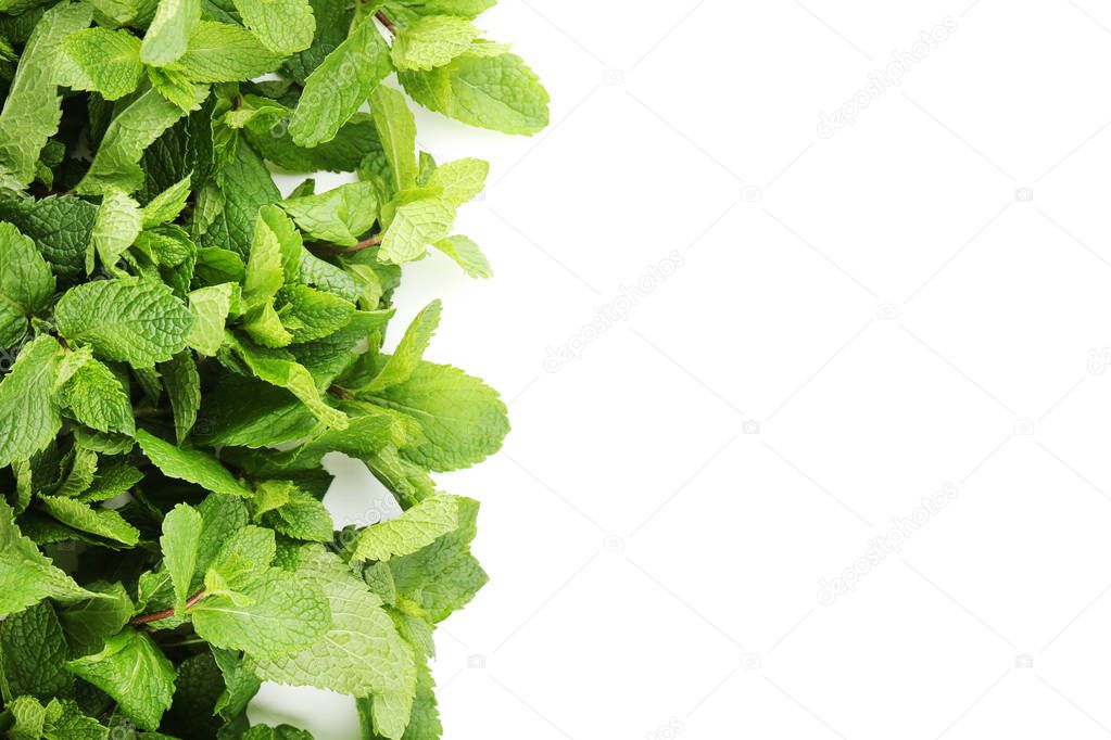 Fresh mint leaves isolated on white background 