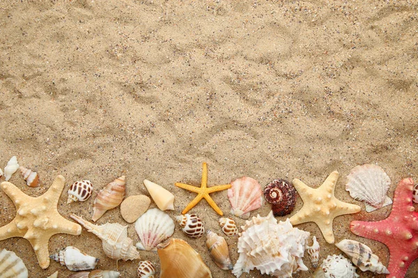 Κοχύλια Και Αστερίες Στην Άμμο Παραλία Καλοκαίρι Έννοια — Φωτογραφία Αρχείου