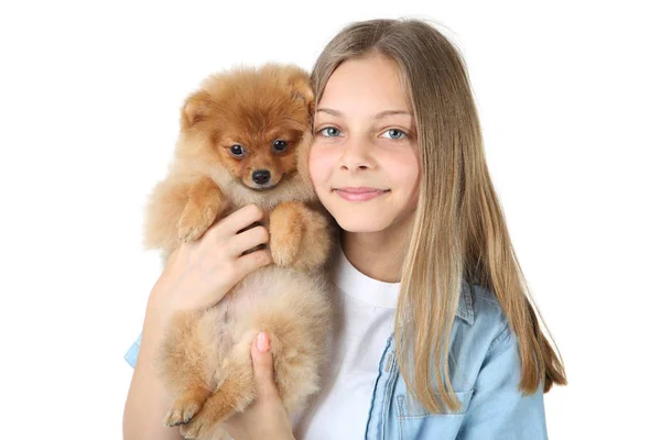 Junges Mädchen Mit Pommerschem Hund Isoliert Auf Weißem Hintergrund — Stockfoto
