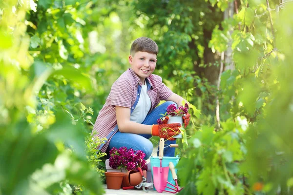 Anak Muda Dengan Bunga Dan Peralatan Taman — Stok Foto