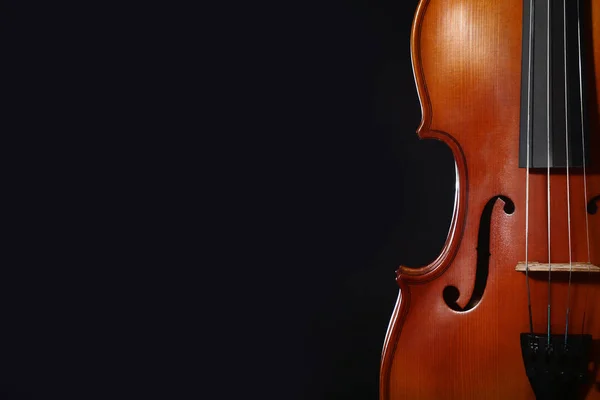 Violino Sobre Fundo Preto — Fotografia de Stock