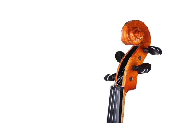 Cabeça Violino Fundo Branco — Fotografia de Stock