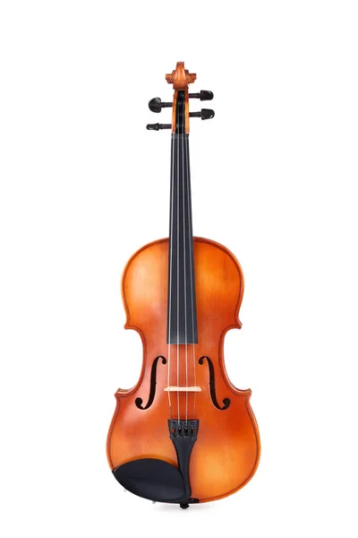 Violin Isolerad Vit Bakgrund — Stockfoto