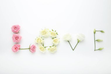 Çiçekler beyaz arka plan üzerinde yazıt sevgiyle