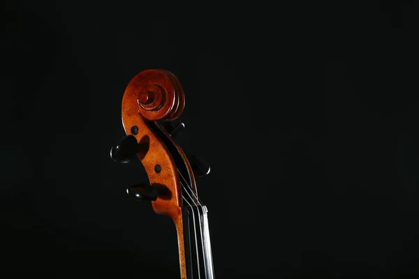 Violin Head Black Background — Stock Photo, Image