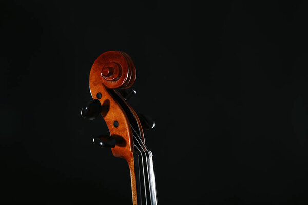 Violin head on black background